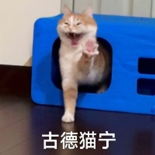 古德猫宁