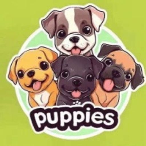 Puppies