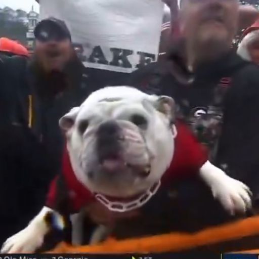 UGA