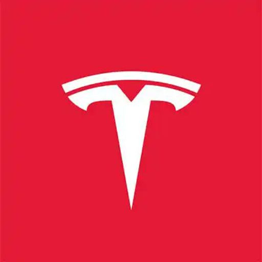 Tesla AI