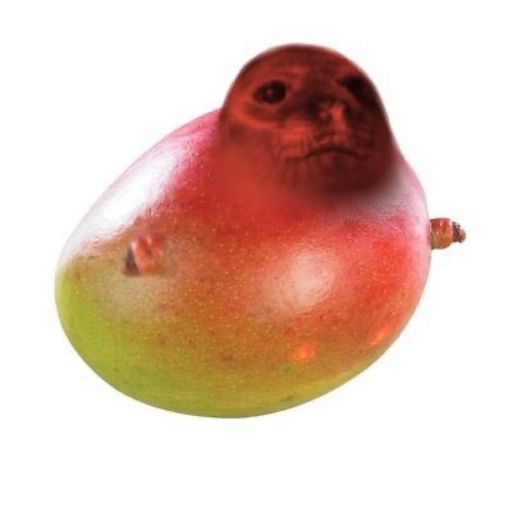 peachool