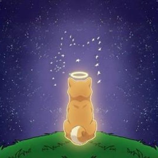 为佩奇伸张正义