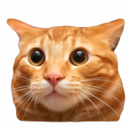 hi