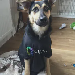 AROS