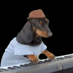 SYNDOG