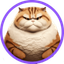 CHONK