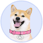 DOGEGF