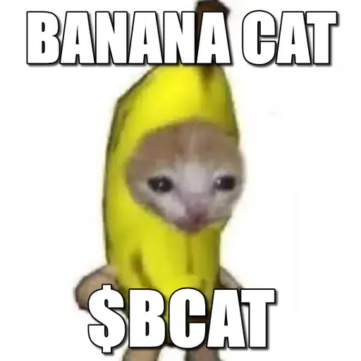 bcat