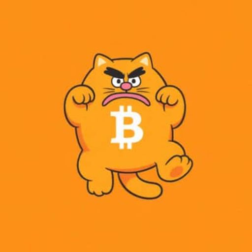 比特币 猫