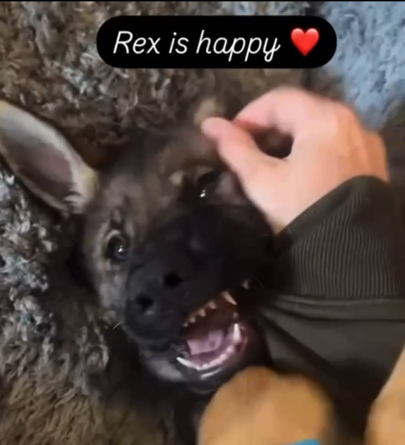 REX