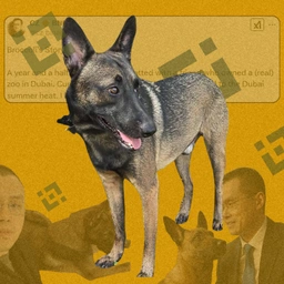Malinois