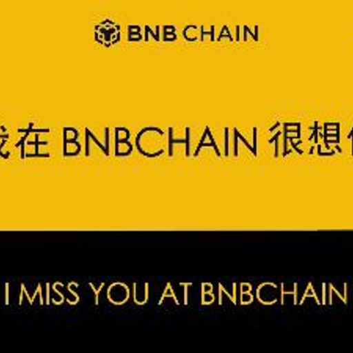 我在BNB Chain 很想你