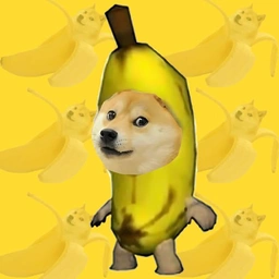 BDOGE
