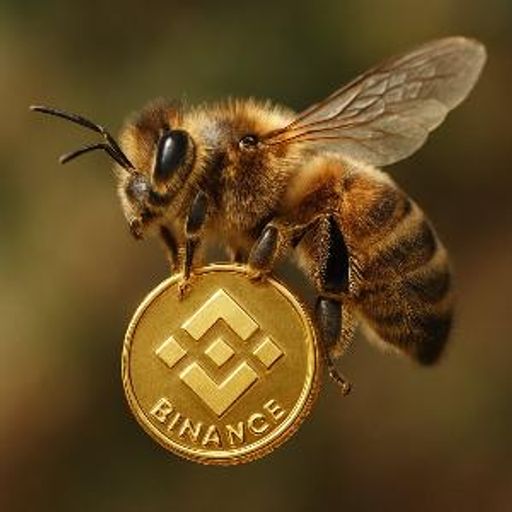 Bee N Bee