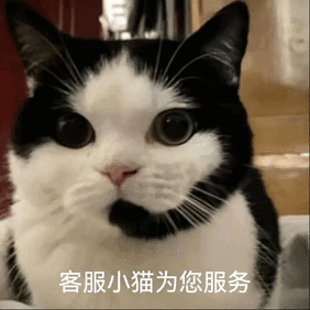 客服小猫