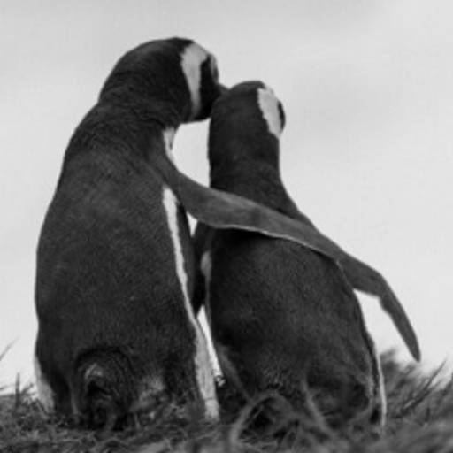 뽀재명과 뽀정은