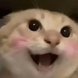 哈基米