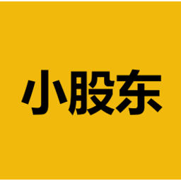 小股东