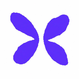 XNFT