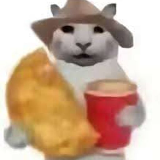 没经济没建模的小猫