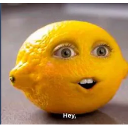 MICHAELSAYLOR
