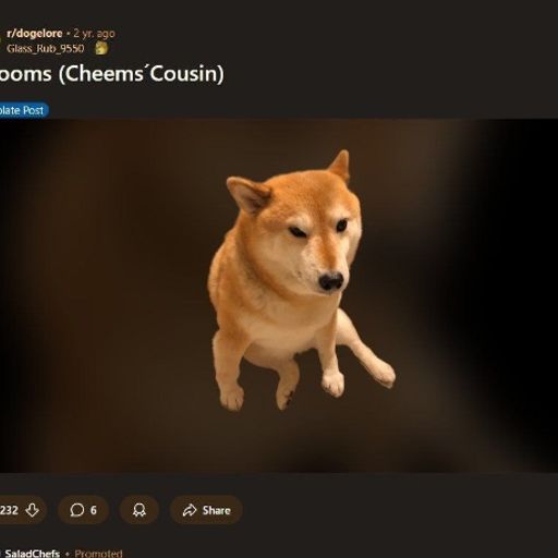 CHOOMS