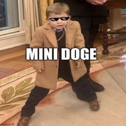 MINIDOGE