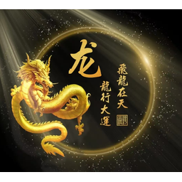 飞天龙