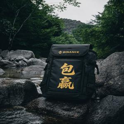 包赢