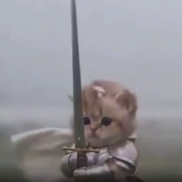 禁卫咪