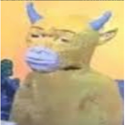 牛来人生