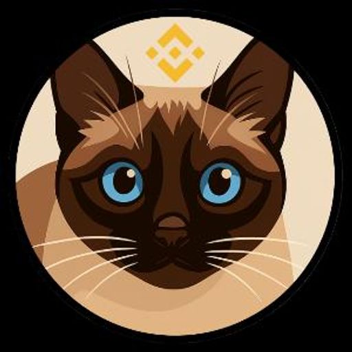 BNBCAT