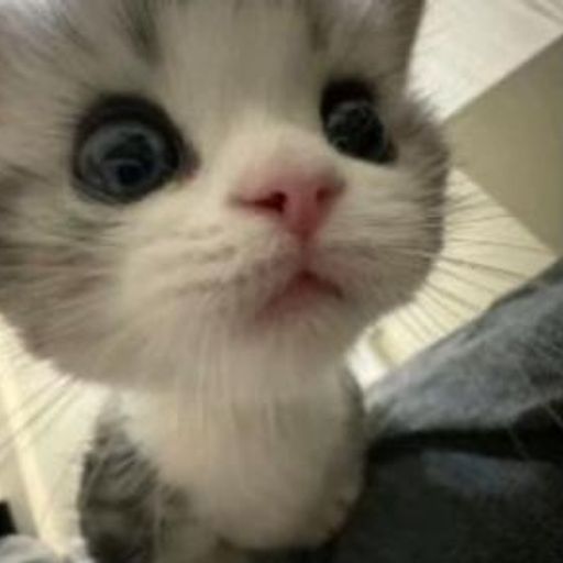 BINANCEUSISSUPERAWES