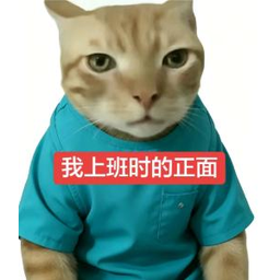 上班小猫