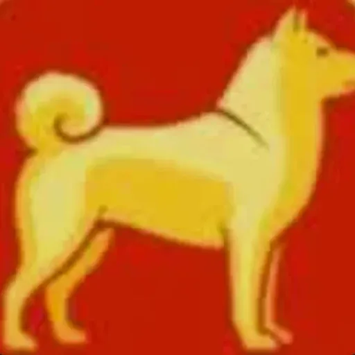 大金狗