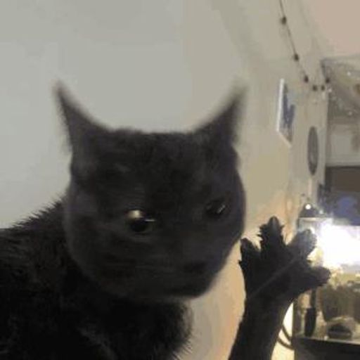 4CAT