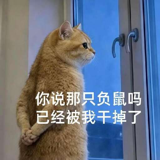 背手小咪