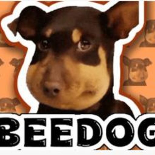 蜜蜂狗