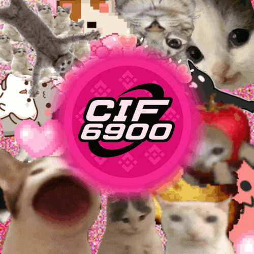 CIF6900