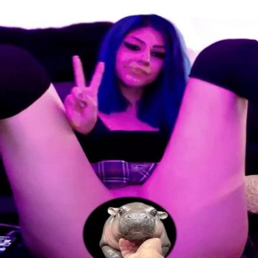XDPUSSY