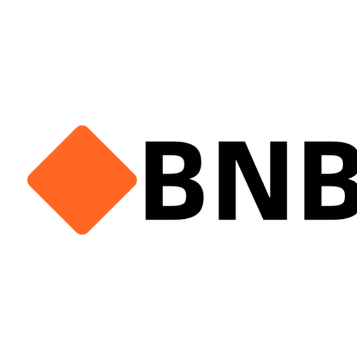 🔶 BNB
