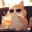 catcatcat