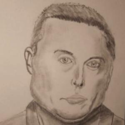 MyHeroElon5