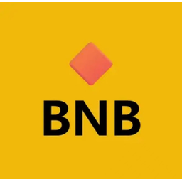 🔶 BNB