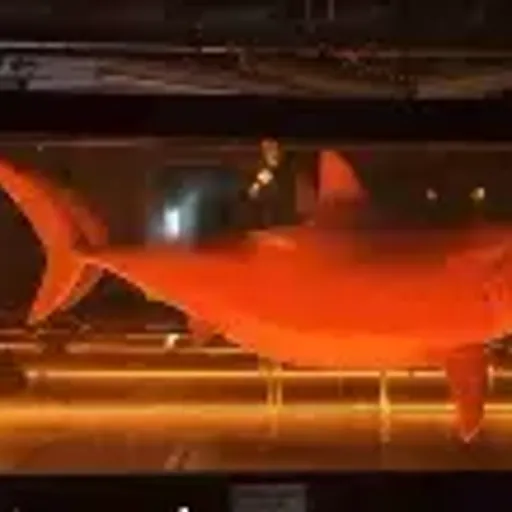 比特币马克西姆斯