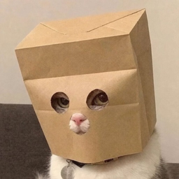 吕吕