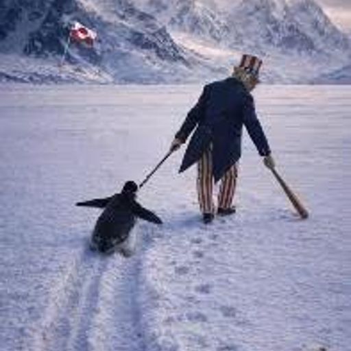 为企鹅伸张正义