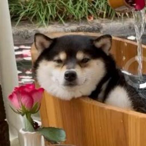 曼玉