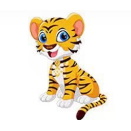 BNBTiger