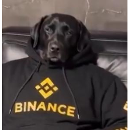 DRIPDOGE